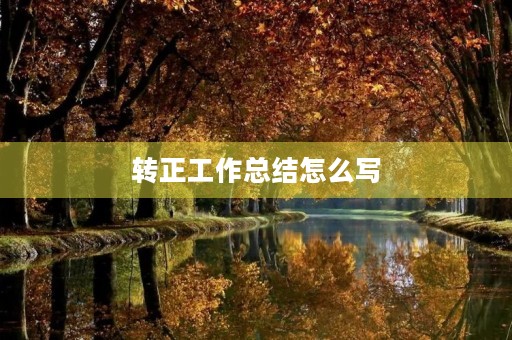 转正工作总结怎么写
