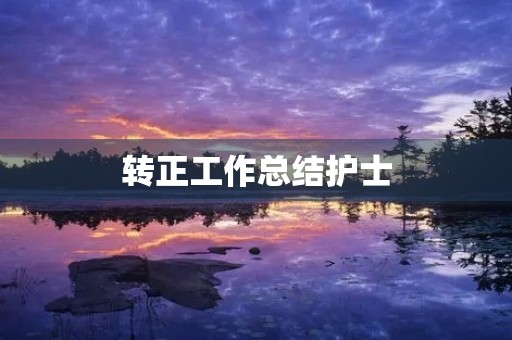 转正工作总结护士