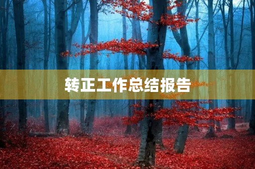 转正工作总结报告(7篇)