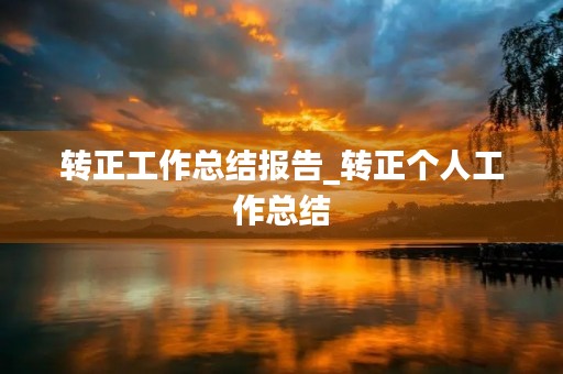 转正工作总结报告_转正个人工作总结