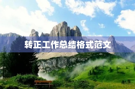 转正工作总结格式范文