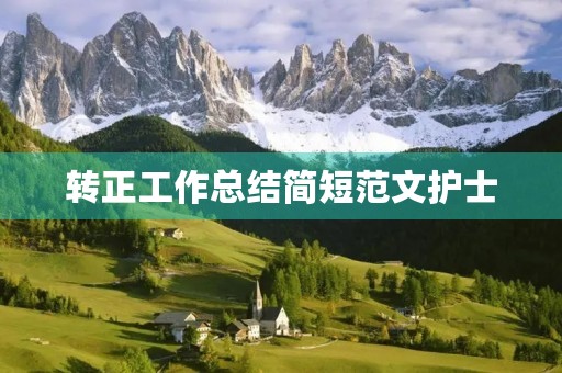 转正工作总结简短范文护士