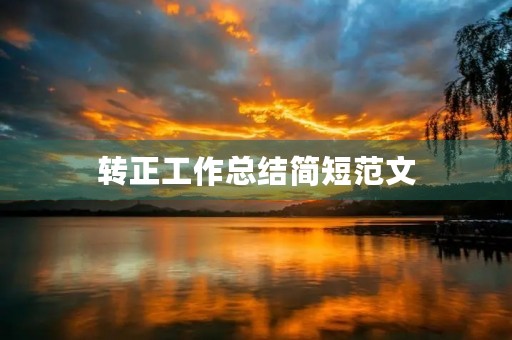 转正工作总结简短范文