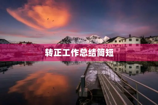 转正工作总结简短