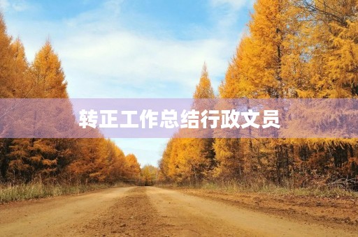 转正工作总结行政文员