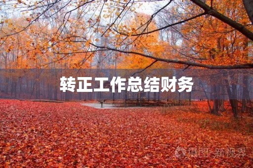 转正工作总结财务