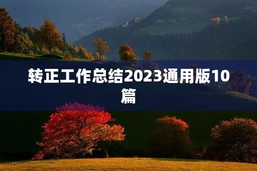 转正工作总结2023通用版10篇