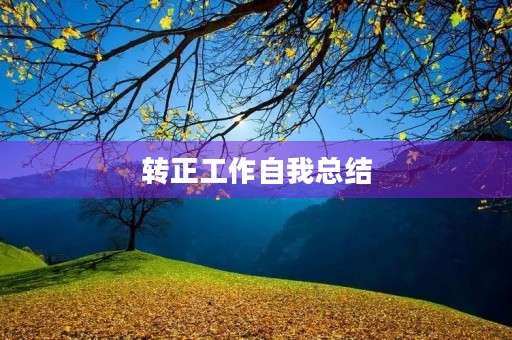 转正工作自我总结