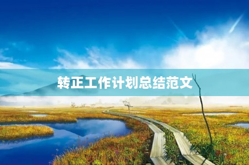 转正工作计划总结范文