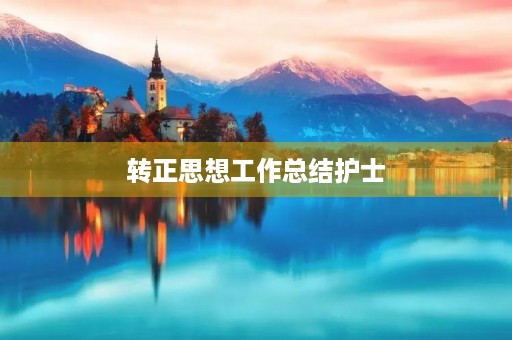 转正思想工作总结护士