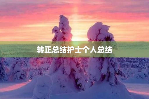 转正总结护士个人总结