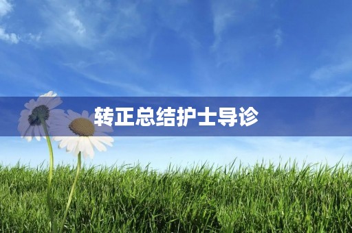 转正总结护士导诊