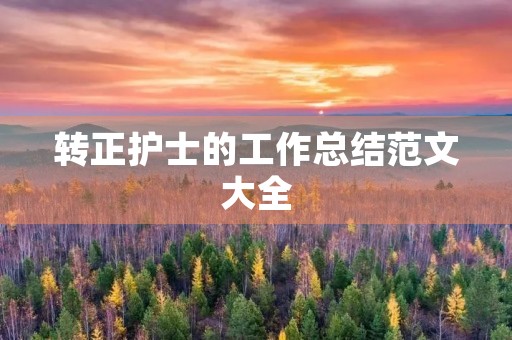 转正护士的工作总结范文大全