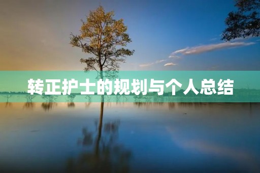 转正护士的规划与个人总结
