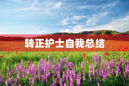 转正护士自我总结