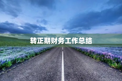 转正期财务工作总结