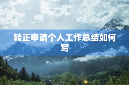 转正申请个人工作总结如何写