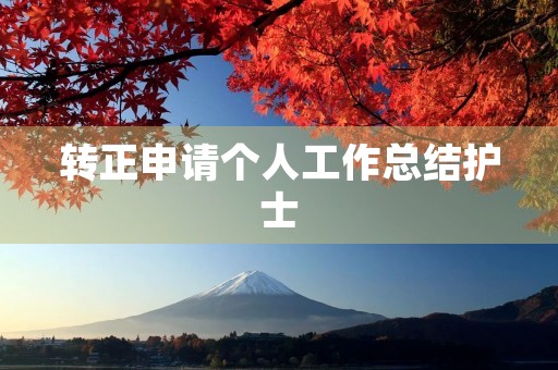 转正申请个人工作总结护士