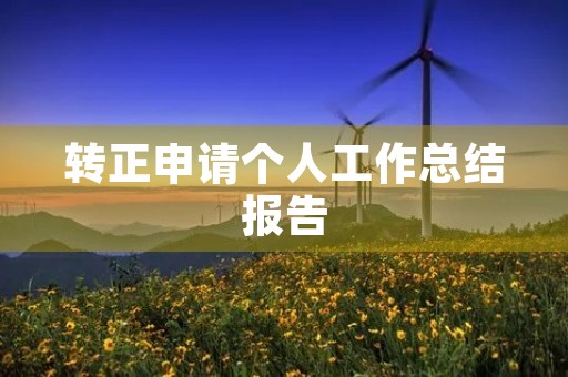 转正申请个人工作总结报告
