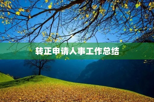 转正申请人事工作总结