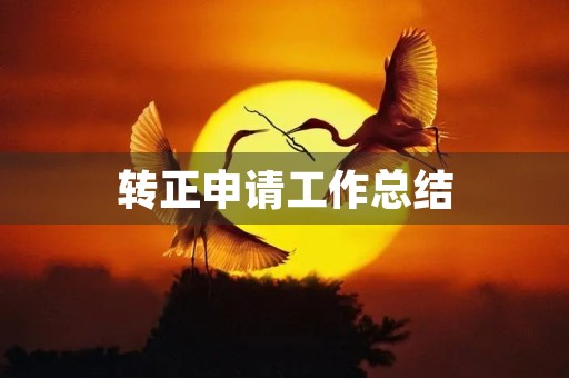 转正申请工作总结
