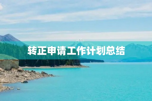 转正申请工作计划总结