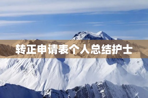 转正申请表个人总结护士