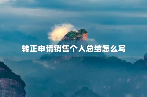 转正申请销售个人总结怎么写