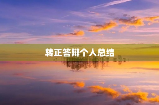 转正答辩个人总结
