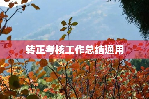 转正考核工作总结通用