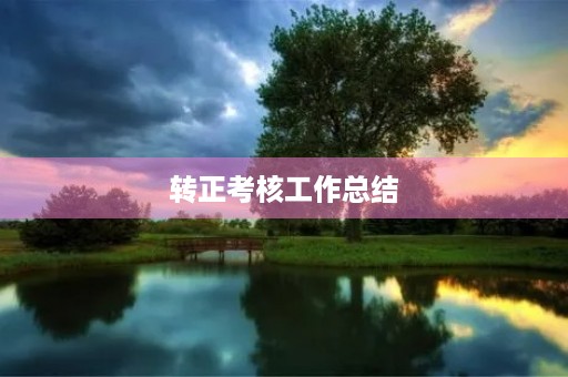 转正考核工作总结