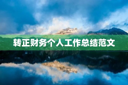 转正财务个人工作总结范文