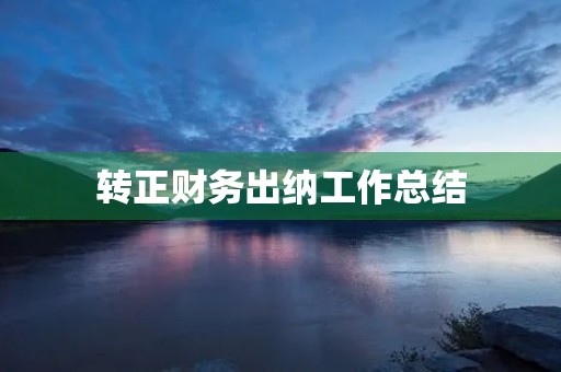 转正财务出纳工作总结