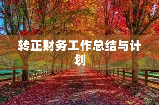 转正财务工作总结与计划