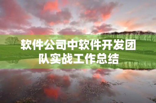 软件公司中软件开发团队实战工作总结