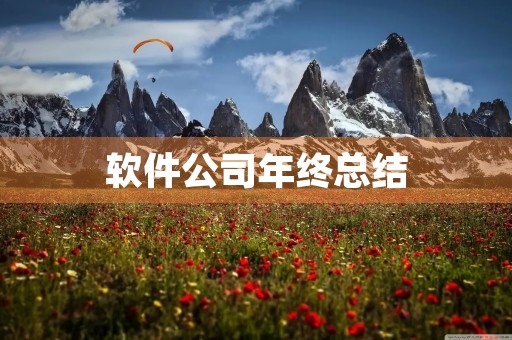软件公司年终总结