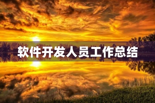 软件开发人员工作总结