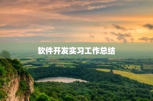软件开发实习工作总结
