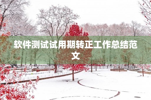 软件测试试用期转正工作总结范文