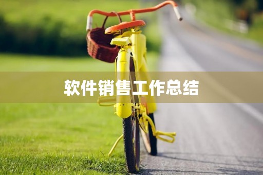 软件销售工作总结