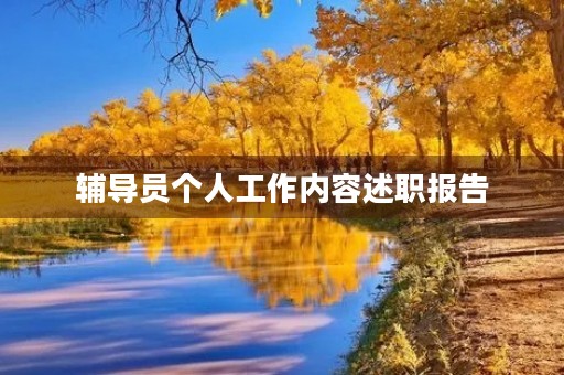 辅导员个人工作内容述职报告