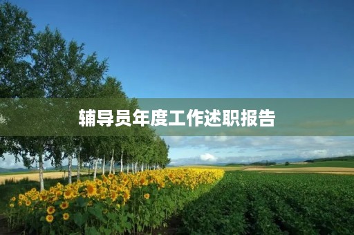 辅导员年度工作述职报告 辅导员年度工作述职报告