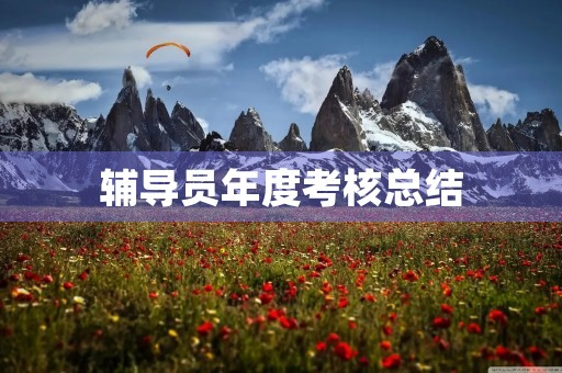 辅导员年度考核总结