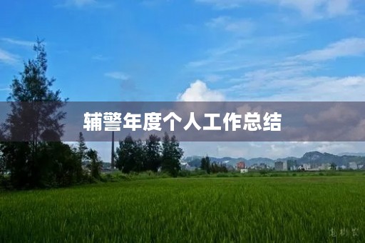辅警年度个人工作总结