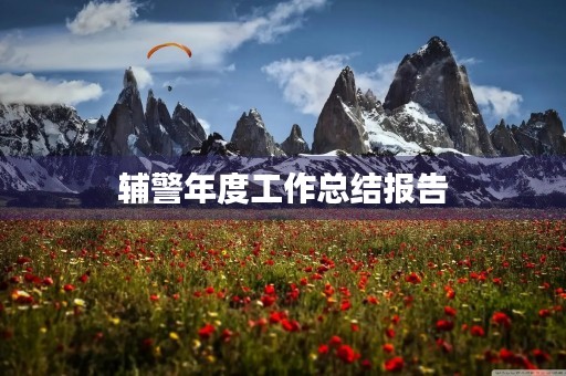 辅警年度工作总结报告