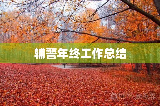 辅警年终工作总结 辅警年终工作总结