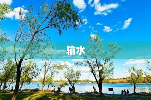 输水 输水