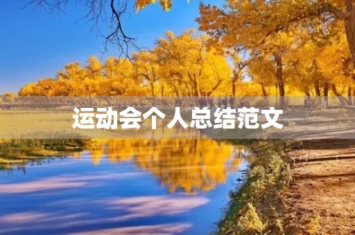 运动会个人总结范文