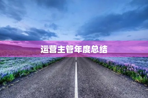 运营主管年度总结