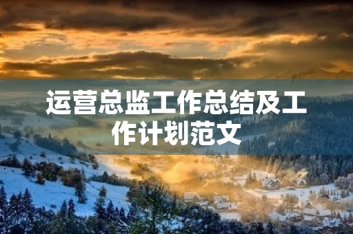 运营总监工作总结及工作计划范文